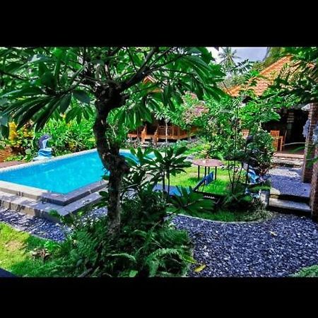 Halumba Eco Villa Bali Tejakula Eksteriør billede